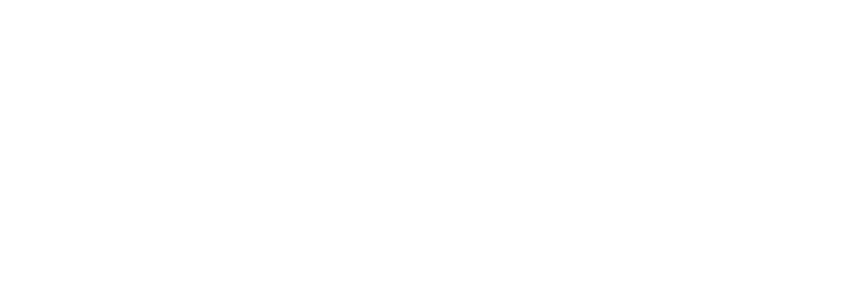 Logo description