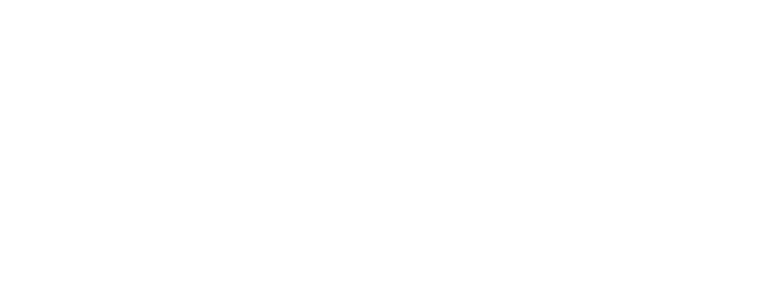 Logo description